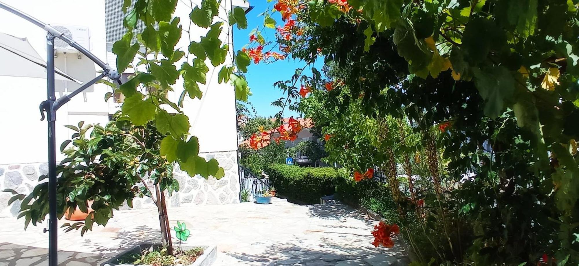 Alojamento Local Os Maias ميرانديلا المظهر الخارجي الصورة