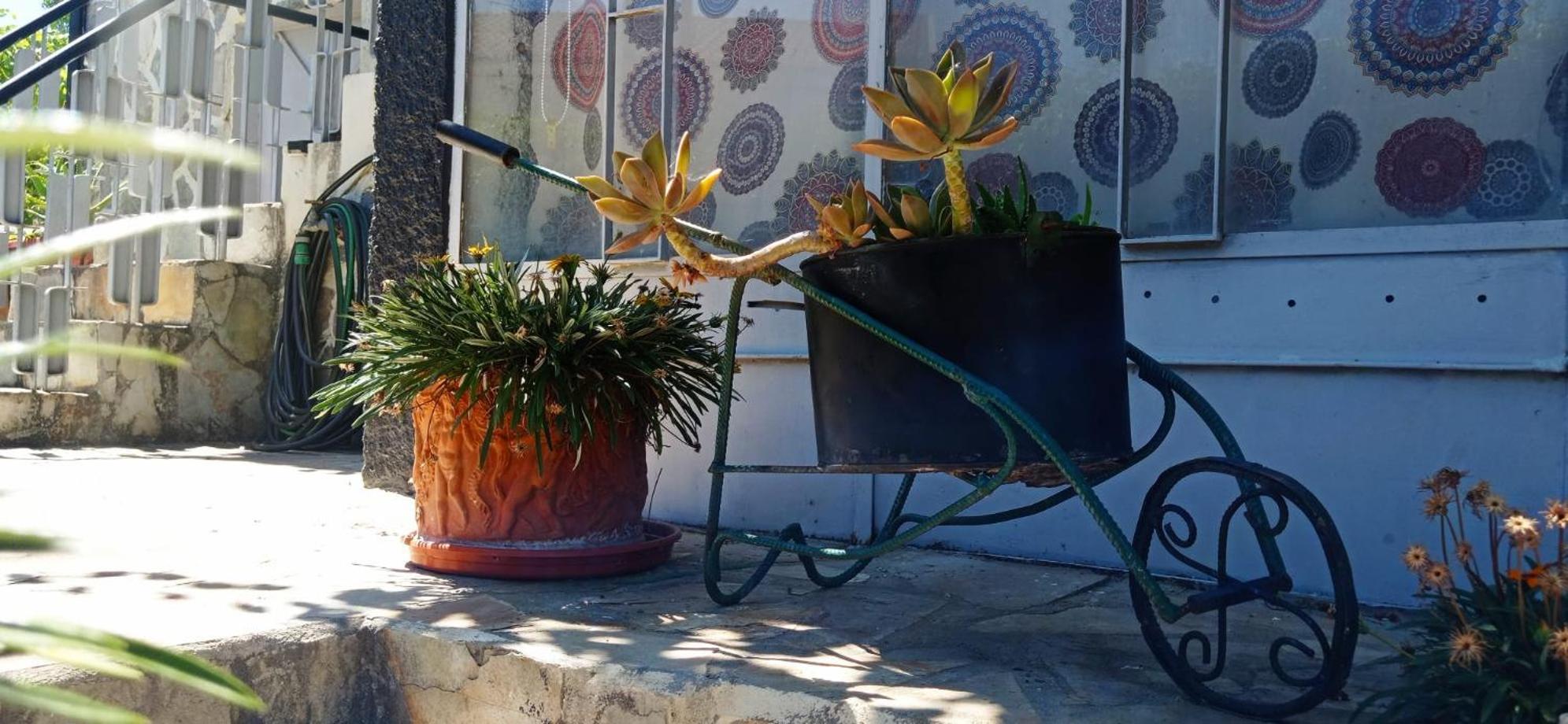 Alojamento Local Os Maias ميرانديلا المظهر الخارجي الصورة