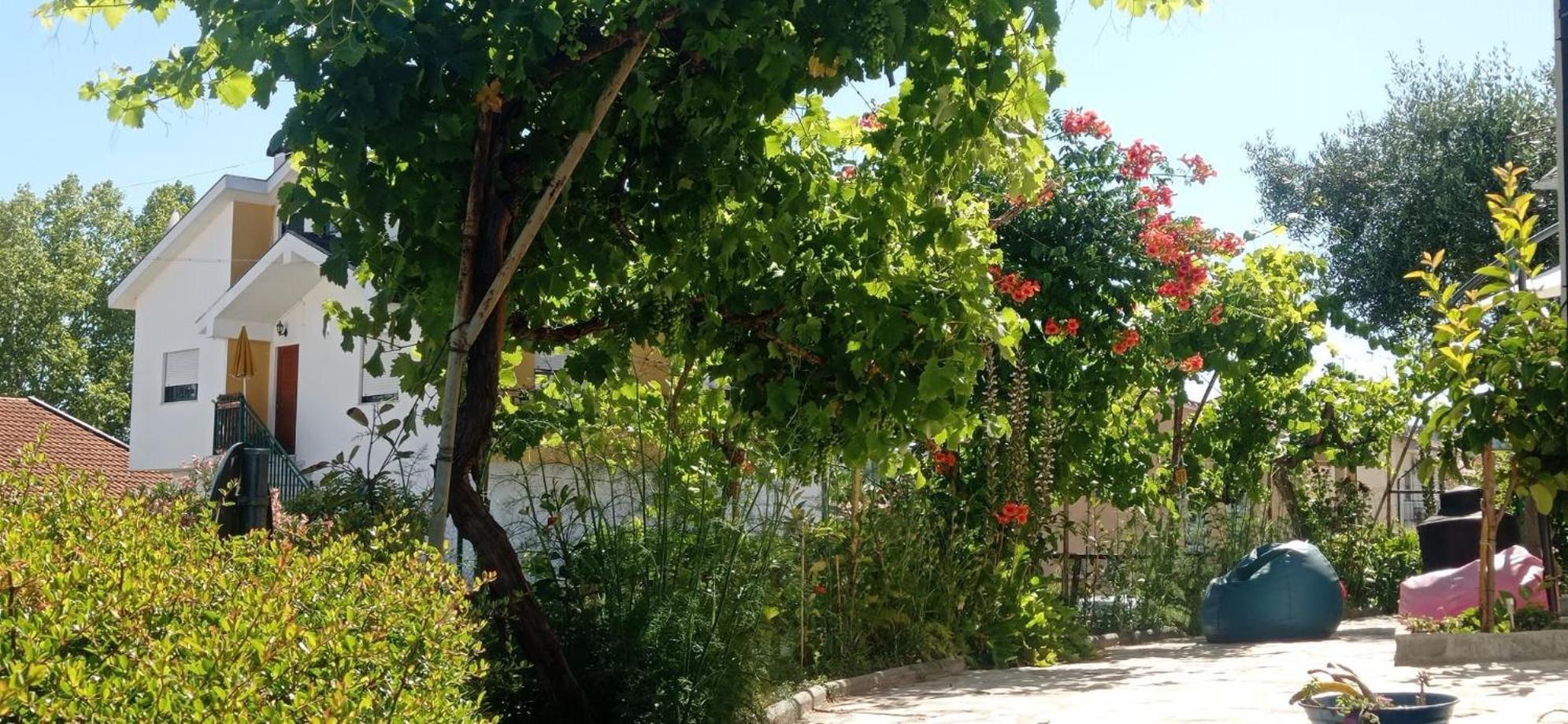 Alojamento Local Os Maias ميرانديلا المظهر الخارجي الصورة