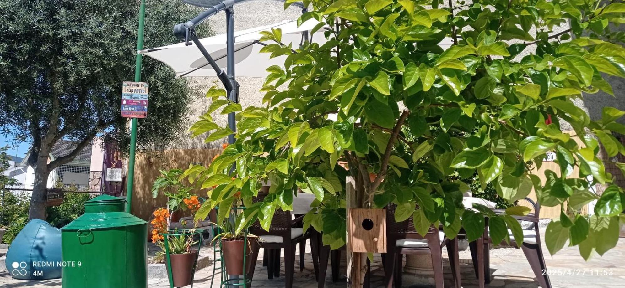 Alojamento Local Os Maias ميرانديلا المظهر الخارجي الصورة
