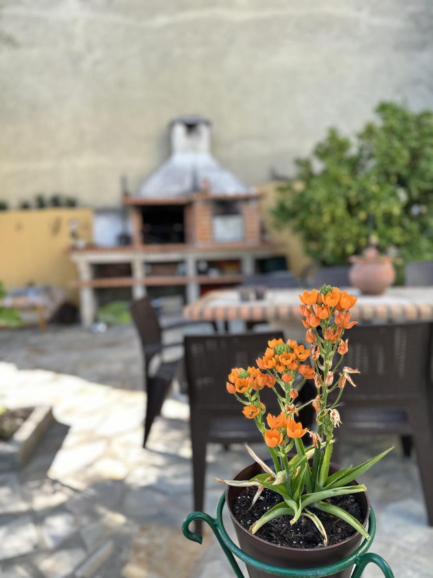 Alojamento Local Os Maias ميرانديلا المظهر الخارجي الصورة